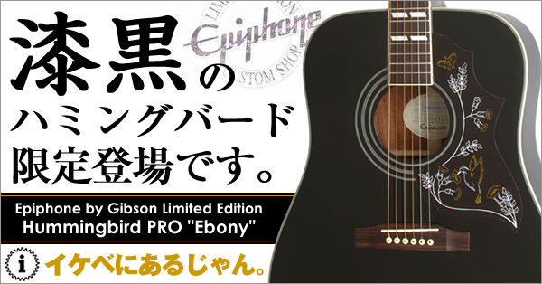 【良好品】 エピフォン アコースティックギター　ハミングバード アコースティックギター