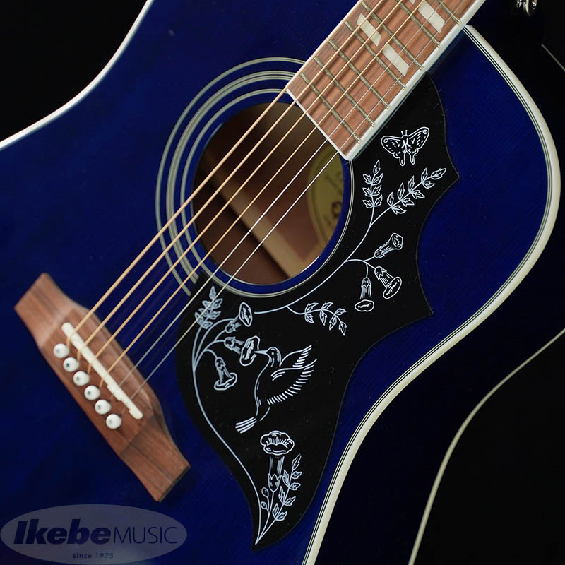 更新】【Epiphone】Gibson直系の大人気エレアコ「Hummingbird