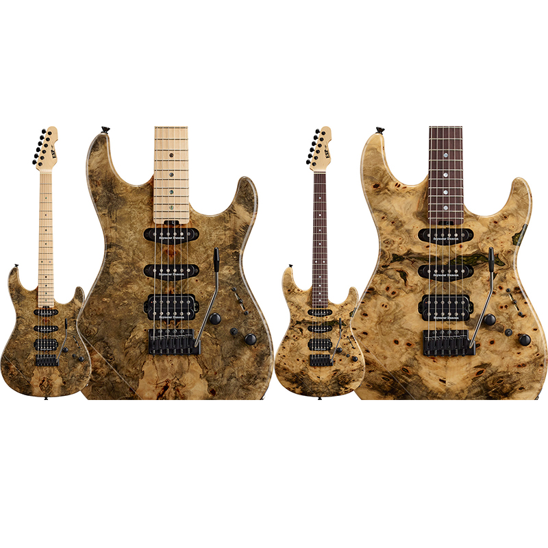 ESP】希少なバックアイバール（Buckeye Burl）をトップ材に採用した