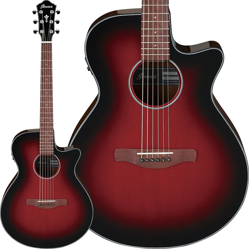 Ibanez】ラインナップをフル・リニューアルして生まれ変わったNew AEG