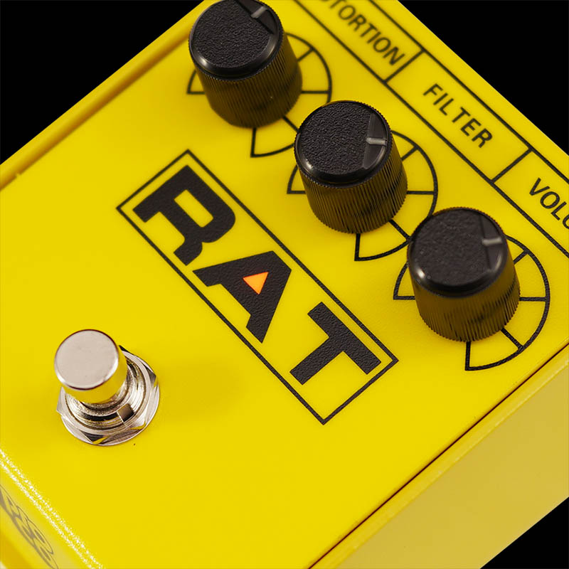 RAT 2 YELLOW “IKEBE 45th Anniversary”