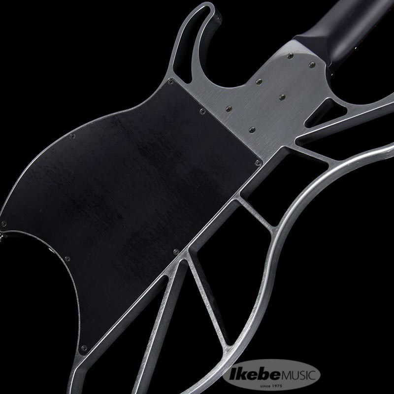 EVO】 EVO BASS（イーボベース）パワーアップ！完全限定生産入荷