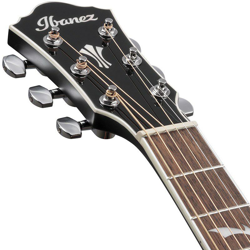 【Ibanez】スペシャル“vine”デザイン・指板インレイが目を惹くAEGの新モデルが新登場！ | こちらイケベ新製品情報局