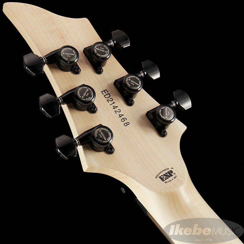 Edwards】アクリルボディを採用した、特別な Edwards】アクリルボディを採用した、特別な